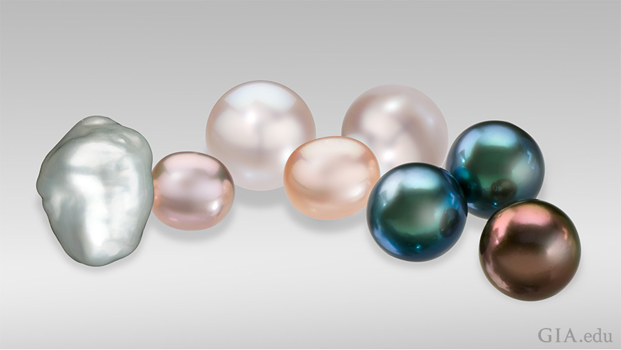 Today, cultured pearls can be found in a wide variety of shapes, colors and sizes (here, measuring between 9 mm and 23 mm). From left to right: a baroque cultured pearl; small fancy pink and peach off-round freshwater cultured pearls; round white Australian cultured pearls; and black and brown Tahitian cultured pearls. Photo: Robert Weldon/GIA.