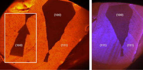 Figure 2. DiamondView images show a dark non-fluorescing region under a standard filter (left; inset shows an enlarged image of the arrow-shaped pattern) and surrounding natural growth patterns using a filter that reduced the NV-related fluorescence relative to other wavelengths (right). Images by Nick “Ka Chun” Chan. Figure 2. DiamondView images show a dark non-fluorescing region under a standard filter (left; inset shows an enlarged image of the arrow-shaped pattern) and surrounding natural growth patterns using a filter that reduced the NV-related fluorescence relative to other wavelengths (right). Images by Nick “Ka Chun” Chan.