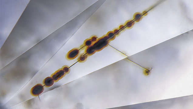 Figure 2. This faceted diamond with etch channels shows a number of radiation stain halos resulting from shallow alpha radiation that extend along its length. The etch channels and radiation stains on the original natural surface were retained after faceting. Photomicrograph by Nathan Renfro; field of view 1.03 mm. Figure 2. This faceted diamond with etch channels shows a number of radiation stain halos resulting from shallow alpha radiation that extend along its length. The etch channels and radiation stains on the original natural surface were retained after faceting. Photomicrograph by Nathan Renfro; field of view 1.03 mm.