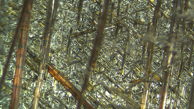 Figure 2. Three sets of interwoven needle-like hematite and rutile inclusions within a six-rayed star quartz. Photomicrograph by Haoran Zhu; field of view 5.00 mm.