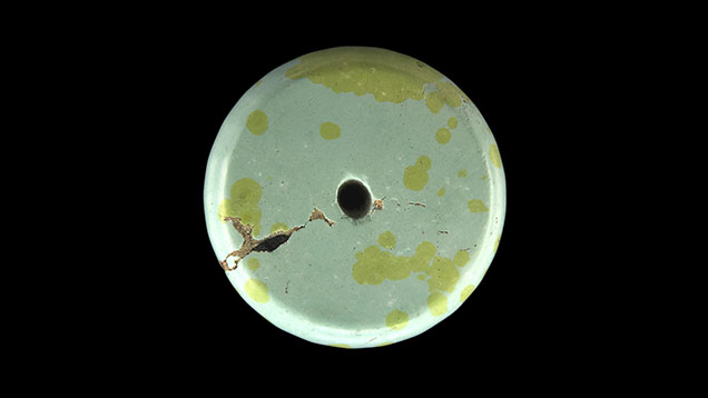 Figure 1. An unusual raindrop turquoise measuring 23 × 23 × 5 mm. Photo by Yunyu Liu.