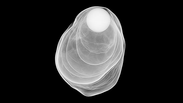 Figure 2. RTX image showing concentric nacre layers separated by translucent organic material. Figure 2. RTX image showing concentric nacre layers separated by translucent organic material.