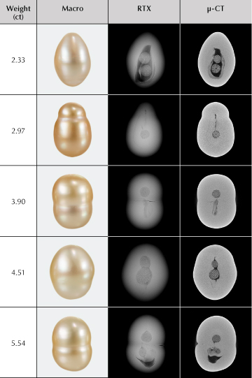 Figure 2. RTX and μ-CT images reveal varying forms of elongated void or linear features associated with one or two microscopic spheres of marine organisms. The spheres measure from 1.23 to 2.28 mm in diameter. Figure 2. RTX and μ-CT images reveal varying forms of elongated void or linear features associated with one or two microscopic spheres of marine organisms. The spheres measure from 1.23 to 2.28 mm in diameter.