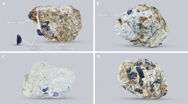 Figure 5. A: Sapphire-bearing syenitic pegmatite from Baw Mar (~55 × 43 × 39 mm) consisting of alkali feldspar, biotite, garnets, and some opaque minerals. The 4.34 ct gem-quality sapphire was extracted from the displayed matrix. B: Syenitic pegmatite (~50 × 46 × 39 mm) with high-quality sapphire crystals. C: Sapphire-bearing kaolinite matrix from Baw Mar (~32 × 30 × 40 mm), a common alteration product of alkali feldspar. D: Sapphire-bearing syenitic pegmatite (~44 × 40 × 40 mm) with some biotite and partially oxidized weathered surfaces. Photos by Arkar Moe Myint.