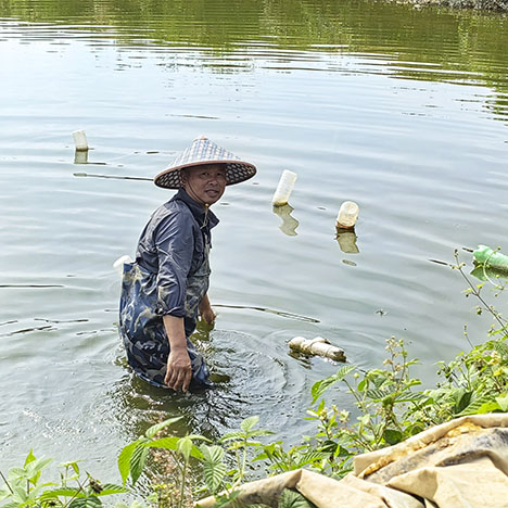 Figure 10. An aquaculture pond used for culturing pearl mussels in Wuyi County. Photo by Yalan Xu.