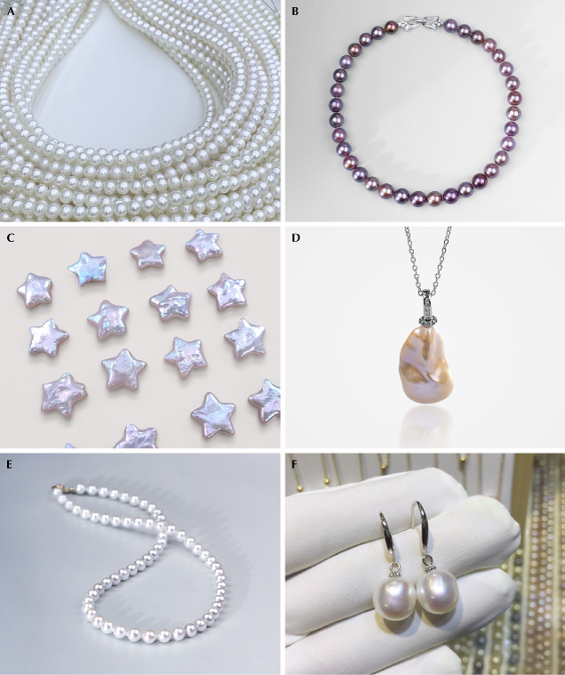 Figure 6. Representative BC (A–D) and NBC (E and F) freshwater pearl products available in the international market. A: “Aurora” pearls (7–8 mm, cultured 2–3 years). B: “Edison” pearl necklace (12–13 mm, cultured 3–5 years). C: Star-shaped pearls (12–13 mm). D: Baroque-shaped pearl pendant (12 × 15 mm). E: Near-round pearl necklace (6–7 mm). F: Oval pearl earrings (8–10 mm). Courtesy of Angeperle (A, B, and D–F) and Qianzhu Jewelry (C).