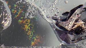 Figure 1. Hematite inclusions extend from the center of an aquamarine sample from Xinjiang, China. Photomicrograph by Yubing Chen; field of view 3.64 mm. Figure 1. Hematite inclusions extend from the center of an aquamarine sample from Xinjiang, China. Photomicrograph by Yubing Chen; field of view 3.64 mm.