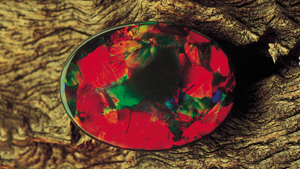 Black Opal Black Opal