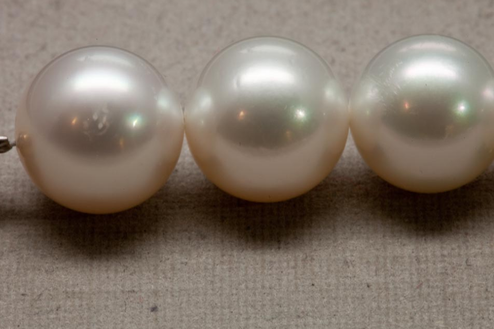 Clean South Sea Cultured Pearls