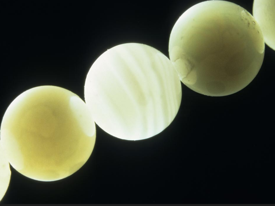 Bead-nucleated Cultured Pearl