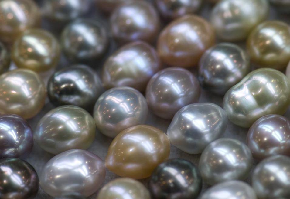 Different Pearl Varieties