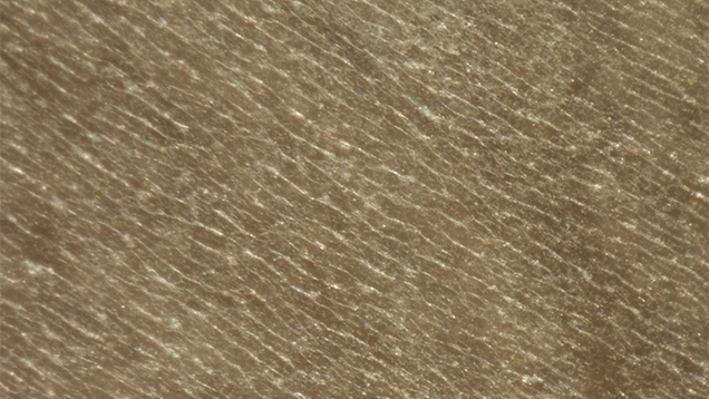 Nacreous Structure 
