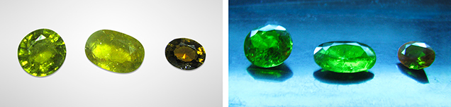 Greenish and yellowish Luc Yen tourmaline in daylight, short-wave UV Greenish and yellowish Luc Yen tourmaline in daylight, short-wave UV