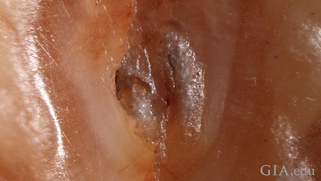 Figure: 3 - An area within the surface groove revealed small concentrated orange coloration along fine surface reaching fractures. These are particularly evident towards the top and bottom of this image. Photomicrograph: Nick Sturman. Magnified 90x.