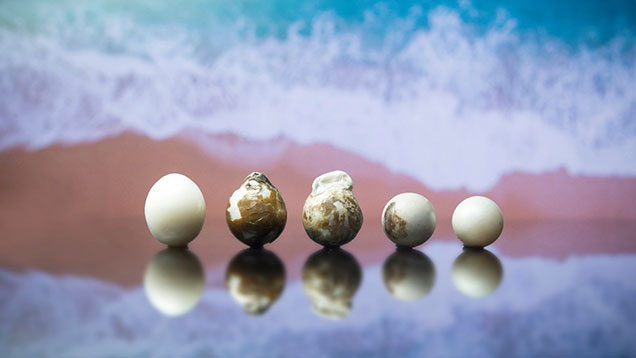 A row of five low-quality bead cultured pearls. A row of five low-quality bead cultured pearls.