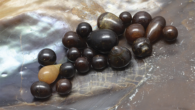 Non-nacreous Pen Pearls