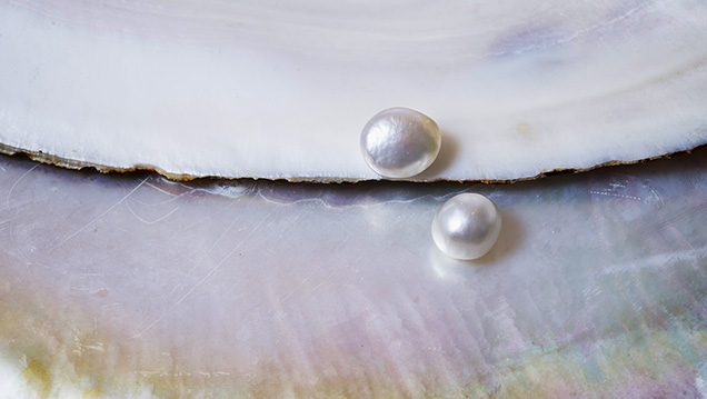 Saltwater and freshwater NBC pearl microradiographic structures Saltwater and freshwater NBC pearl microradiographic structures