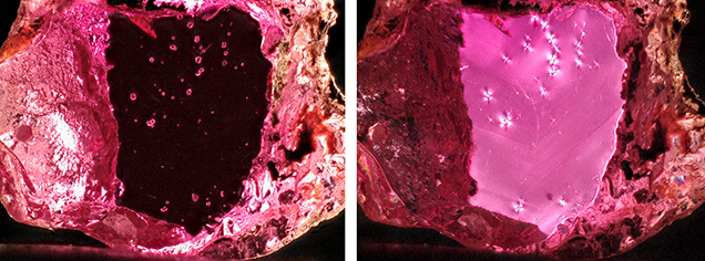 Figure 1. Colorless crystals with high relief (left) in a ruby mined near Caraia in the Montepuez region. Placing the ruby between crossed polarizers (right) revealed a stress halo caused by low-dose radiation emitted by the zircon inclusion. Photomicrographs by Wim Vertriest; field of view 3.6 mm.