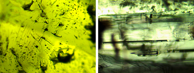 Two-phase inclusions and growth tubes in Luc Yen tourmaline Two-phase inclusions and growth tubes in Luc Yen tourmaline