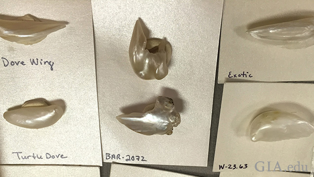 Wing pearls