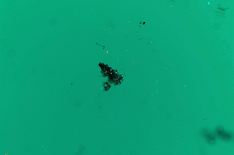 Opaque black inclusions typical of Colombian emerald. Opaque black inclusions typical of Colombian emerald.