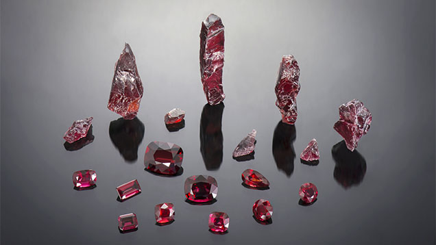 Figure 1. Faceted garnets (1.81–16.00 ct) along with rough fragments (largest piece is 12 g) from a new deposit in the Lao Cai province of northern Vietnam. Photo by Nuttapol Kitdee; courtesy of Precious Le Gems. Figure 1. Faceted garnets (1.81–16.00 ct) along with rough fragments (largest piece is 12 g) from a new deposit in the Lao Cai province of northern Vietnam. Photo by Nuttapol Kitdee; courtesy of Precious Le Gems.