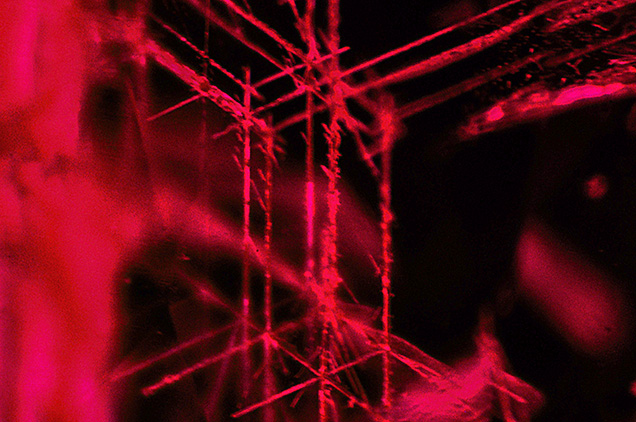 Rose channels in a 0.5 ct ruby. Photomicrograph by Aamir Sayed; field of view 0.75 mm.
