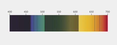 Diagnostic ruby spectrum in the handheld spectroscope. Diagnostic ruby spectrum in the handheld spectroscope.
