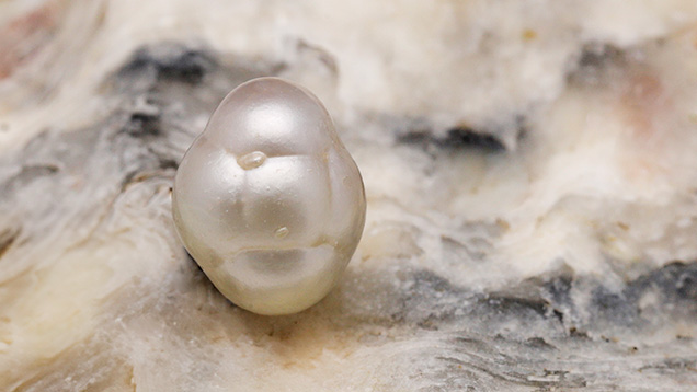 Figure 1. A semi-baroque non-bead cultured pearl weighing 1.69 ct and measuring 6.83 × 5.34 mm. Photo by Gaurav Bera.