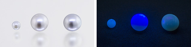 Fluorescence reaction of various cultured pearls Fluorescence reaction of various cultured pearls