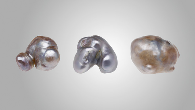 Figure 1. Three large, reportedly natural pearls with hollow interiors from the Pinctada radiata species from Bahrain, weighing 1.97, 3.92, and 6.13 ct, respectively. Photo by Gaurav Bera. Figure 1. Three large, reportedly natural pearls with hollow interiors from the Pinctada radiata species from Bahrain, weighing 1.97, 3.92, and 6.13 ct, respectively. Photo by Gaurav Bera.