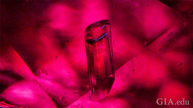 A rare inclusion of iolite (cordierite) is seen in this ruby from Greenland. Field of view 1.42 mm.