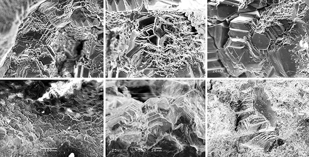SEM images of euhedral diamonds in pores of carbonado