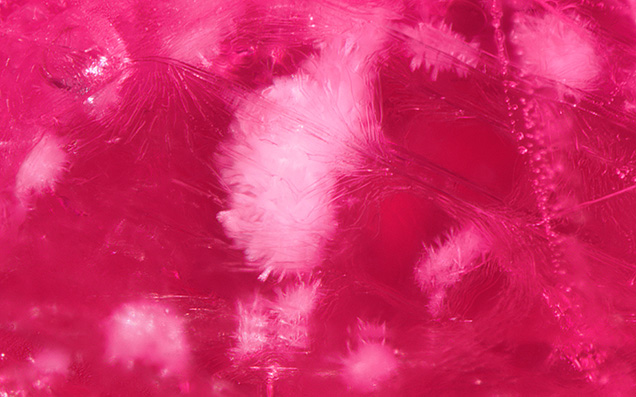 Devitrified glass inclusions resembling pom-poms or sea urchins in a clarity-enhanced ruby. Photomicrograph by Kevin Bishop and Joseph Hukins; field of view 1.99 mm. Devitrified glass inclusions resembling pom-poms or sea urchins in a clarity-enhanced ruby. Photomicrograph by Kevin Bishop and Joseph Hukins; field of view 1.99 mm.