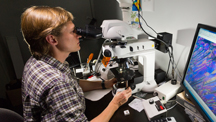 Research Careers