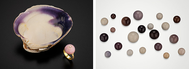Figure 1. Left: The mother shell (Mercenaria mercenaria) and an 18K gold ring featuring a 14.43 × 14.63 mm lilac quahog pearl. Right: A rare collection of round quahog pearls ranging from 5.65 to 12.33 mm in diameter and in colors from white and beige to deep purple and tan. Photos by Robert Weldon; courtesy of ECIJA.
