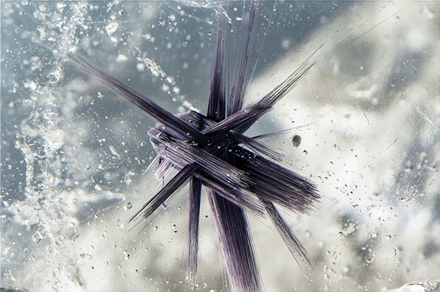 Quartz crystals with rutile tufts.