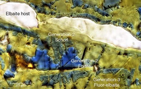Chemical zones in a tourmaline fiber Chemical zones in a tourmaline fiber