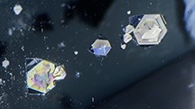 Figure 2. When viewed from the opposite side of the quartz host, the same gersdorffite inclusions display as hexagons. Photomicrograph by Nathan Renfro; field of view 8.11 mm.