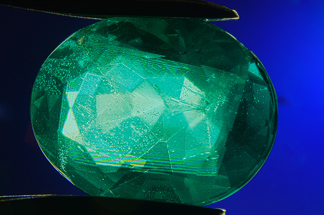 Face-up view of assemblage under cross-polarized light.