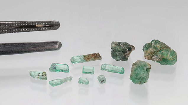 Figure 1. Eight Kazakhstani emeralds (left) and three Ukrainian beryl and emerald samples (right), with gemological tweezers shown for scale. The leftmost Ukrainian emerald has a chemistry between that of aquamarine and emerald. Photo by Emily Lane; courtesy of Gerhard Franz and Oleksii Vyshnevskyi. Figure 1. Eight Kazakhstani emeralds (left) and three Ukrainian beryl and emerald samples (right), with gemological tweezers shown for scale. The leftmost Ukrainian emerald has a chemistry between that of aquamarine and emerald. Photo by Emily Lane; courtesy of Gerhard Franz and Oleksii Vyshnevskyi.