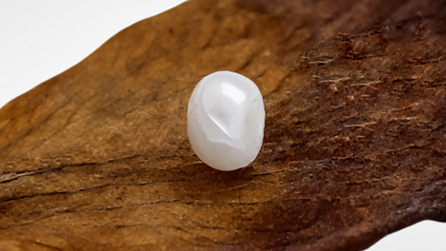 Figure 1. The white imitation pearl measuring approximately 1.70 × 1.12 mm and weighing 0.01 ct. Photo by Gaurav Bera. Figure 1. The white imitation pearl measuring approximately 1.70 × 1.12 mm and weighing 0.01 ct. Photo by Gaurav Bera.
