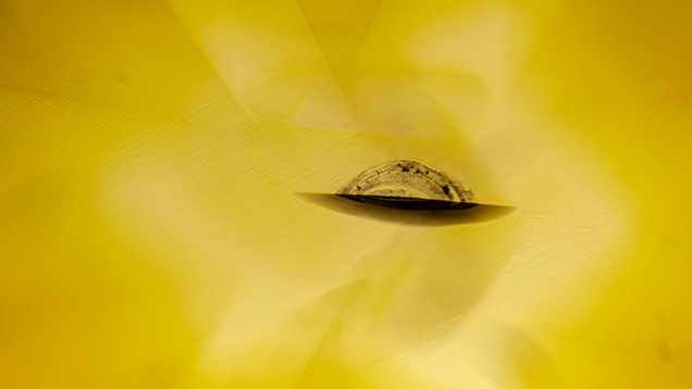 This diamond feather and its reflection resemble a UFO flying across the sun. Photomicrograph by Michaela Damba; field of view 3.57 mm. This diamond feather and its reflection resemble a UFO flying across the sun. Photomicrograph by Michaela Damba; field of view 3.57 mm.