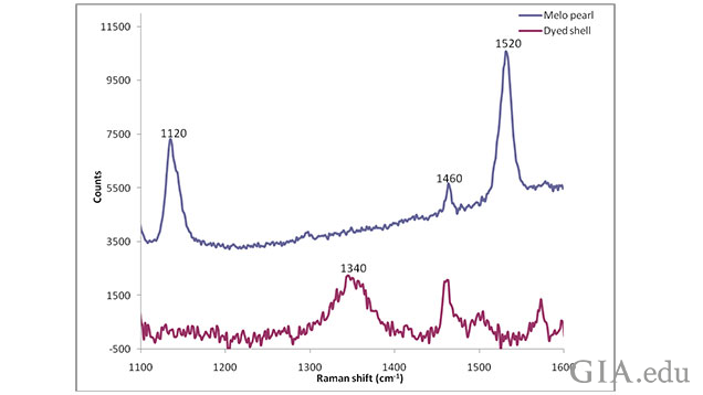 Figure: 6 - Enlarged area between 1100 cm-1 and 1600 cm-1 showing the polyenic peak region for both samples shown in Figure 5. The polyenic peaks in the naturally colored Melo species pearl are clearly visible in the top spectrum and completely absent from the lower spectrum belonging to the imitation “pearl” discussed in this article.