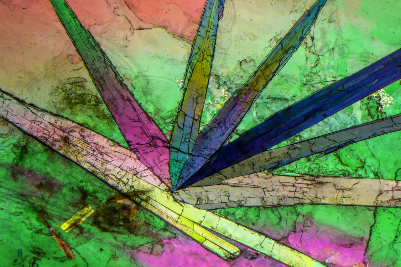 A stunning example of tourmaline inclusion in muscovite mica seen in polarized light