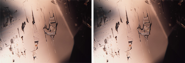 Figure 1. Left: Negative crystal in an alexandrite containing a fluid and crystals at room temperature. Right: Below 31.2°C, multiple gas bubbles appear. Photomicrographs by Jamie Price; field of view 1.99 mm.