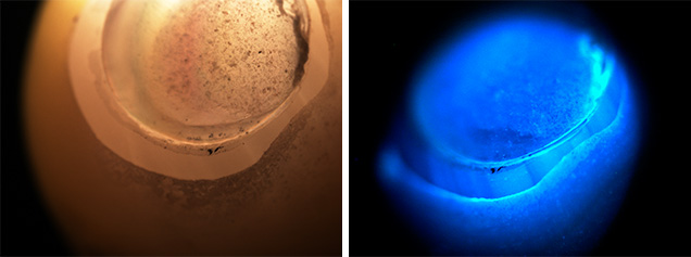 Banding under light source and in DiamondView