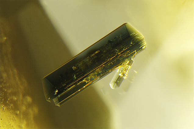 Euhedral pargasite crystal in yellow sapphire.
