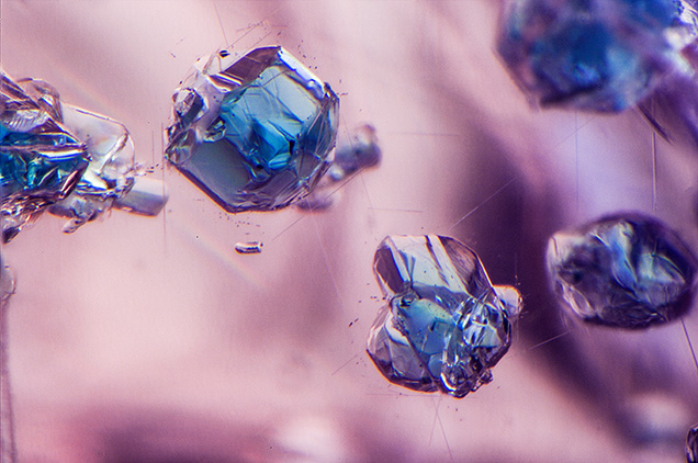 Figure 2. Blue apatite inclusions and rutile needles were prominent throughout the “dragon” garnet reportedly from a new find in Africa. Photomicrograph by Nathan Renfro; field of view 2.40 mm.