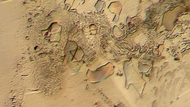 The fascinating Star of David pattern within partially healed fissures adds to the allure of this sapphire’s micro-world. Under brightfield illumination, the grayish areas that remained unhealed were iridescent in some areas. Photomicrograph by Tinh Xuan Nguyen; field of view 1.8 mm.